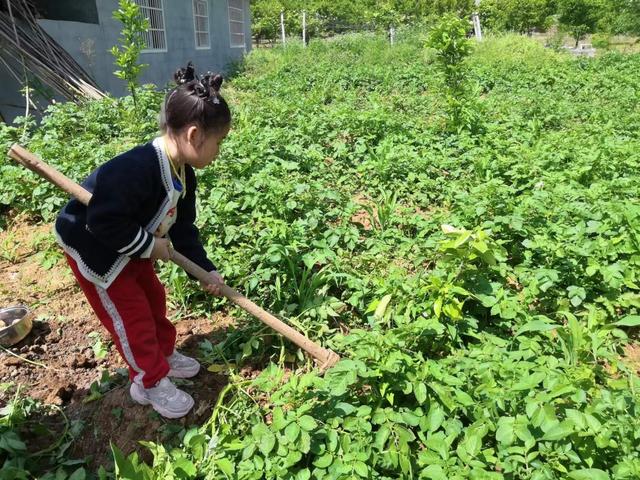 五一长假 建始亲子游 乡村游受热捧