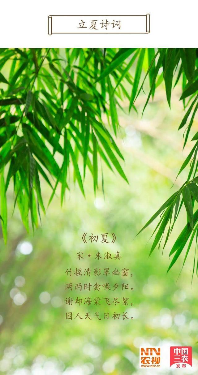 今日立夏 | 薰风至而万物秀
