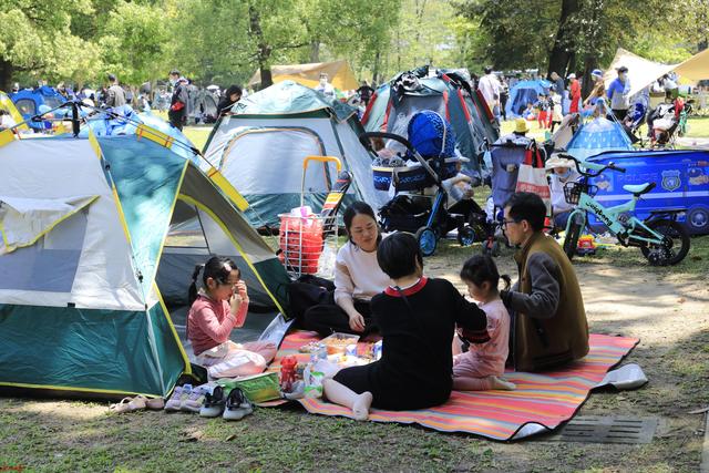 一顶帐篷就有诗和远方吗？露营火了，问题来了