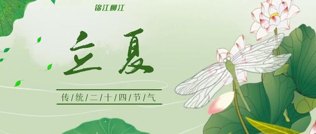 今日立夏丨春意阑珊处，立夏款款来