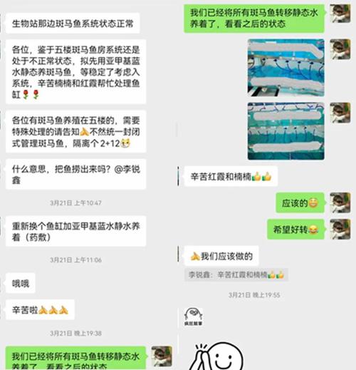 “我们不当局外人！”高校学子刻下青春最美的模样