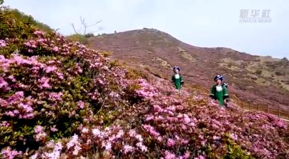 云南发布最新预警公告！出现这些症状，赶紧就医