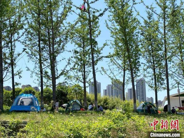 露营经济火爆、概念股大涨，这股热潮能持续多久？