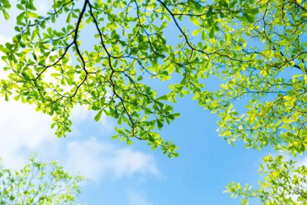冷空气打脸：“想立夏？凉快几天再说！”