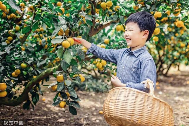 升级回归的“劳动课”到底该咋上？这些孩子们给家长打个样