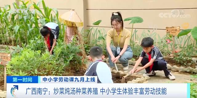 升级回归的“劳动课”到底该咋上？这些孩子们给家长打个样