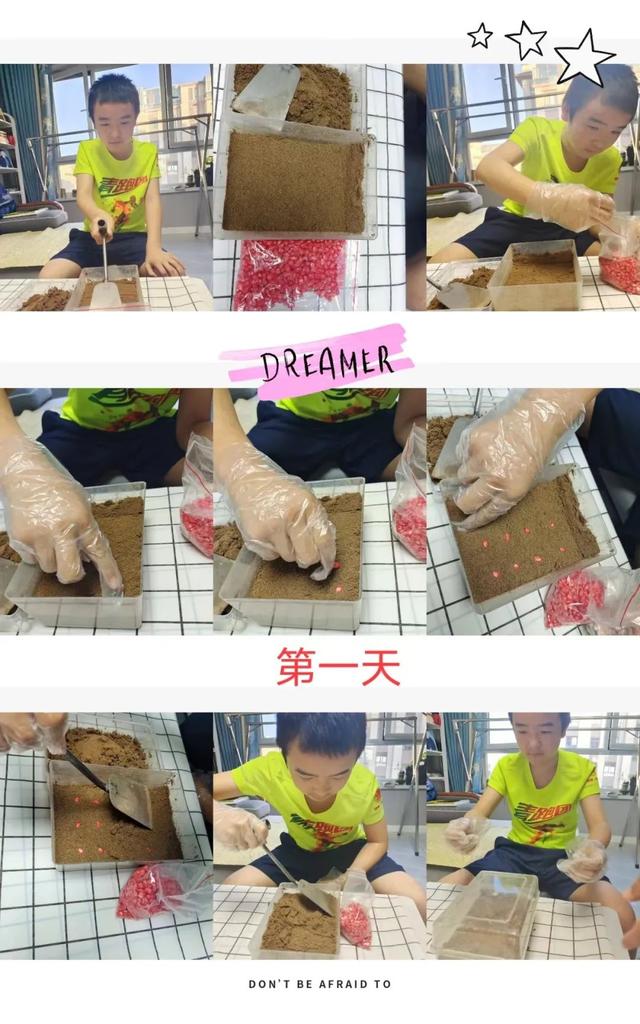 升级回归的“劳动课”到底该咋上？这些孩子们给家长打个样