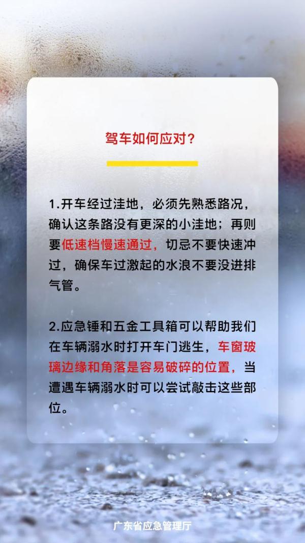 广州迎强降雨：如有必要备2天物资