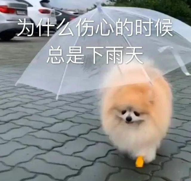 斗门核酸点，最新安排！丨晚安斗门
