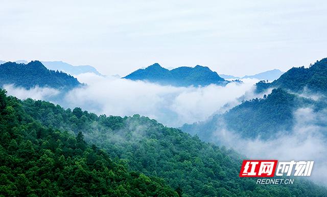 沅陵：将文旅产业与“六大百亿产业链”结合 打造生态旅游高地