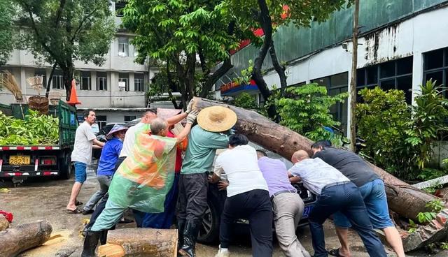 在广东防汛一线，他们的每一个举动都让人动容