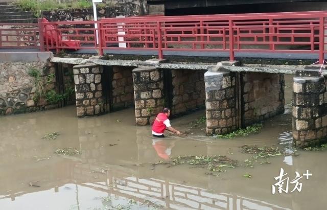 未发生灾情和人员伤亡事故！红海湾“迎战”特大暴雨