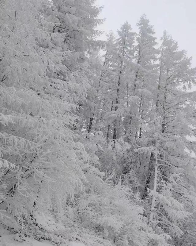 专家解读陕西多地异常降雪