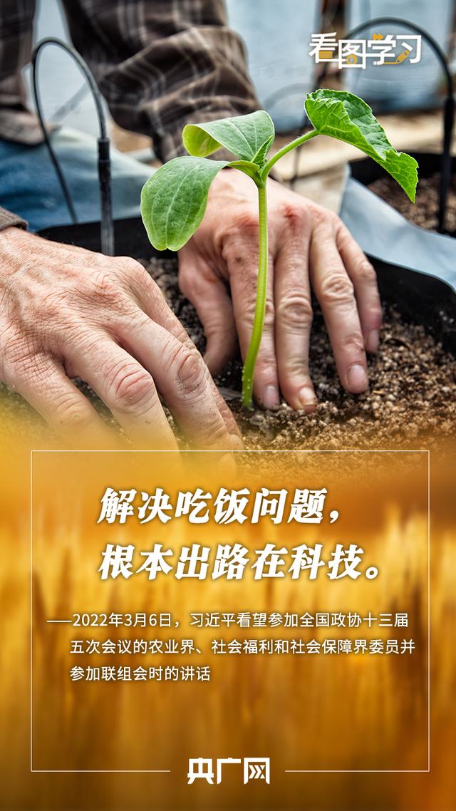 看图学习丨悠悠万事 吃饭为大 总书记牵挂“中国饭碗”