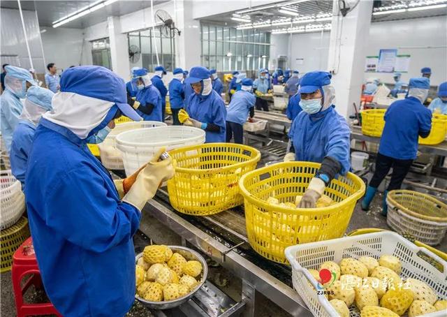 绿色食品创业计划书，湛江未来五年怎么干省党代会报告划重点