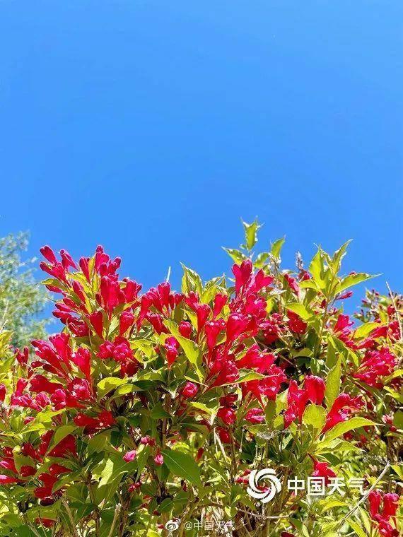 北方“高温季”将正式开启！周末这些地方最高气温或达40℃