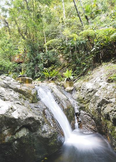 牛起来春晚视频(牛起来吧歌曲视频春晚)