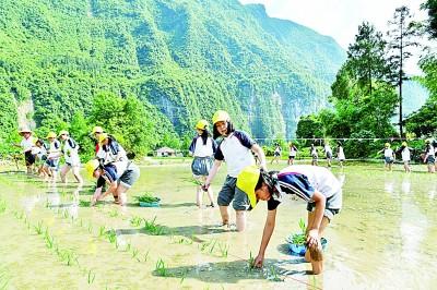 研学旅行走俏 在行走的课堂中 如何读懂更大的世界教案「研学其实就是在旅行中寻找知识」