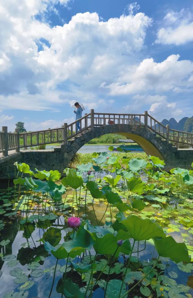 这个桂林"十大网红景区打卡地",你打卡了吗 桂林网红景点打卡 - 云