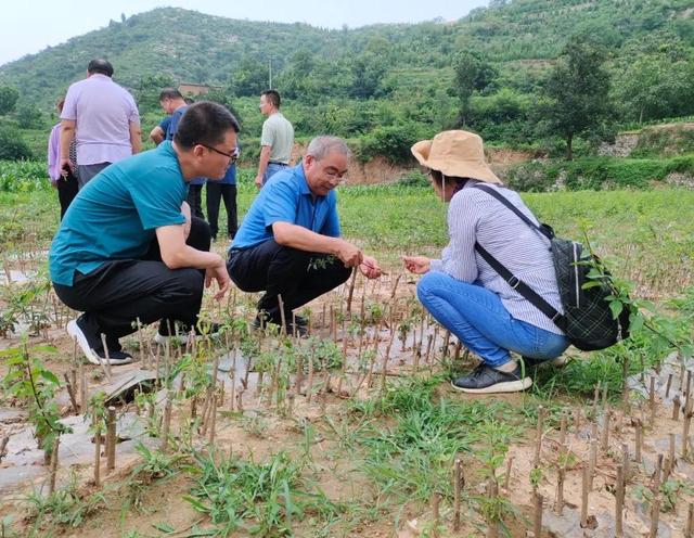 隔行如隔山是啥意思,隔行如隔山是啥意思打一生肖