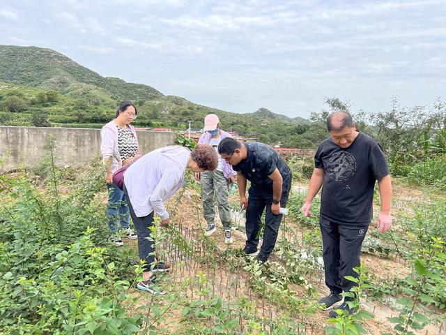 隔行如隔山是啥意思,隔行如隔山是啥意思打一生肖