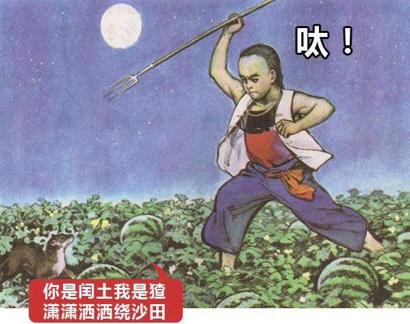 自挂东南枝什么意思(自挂东南枝的搞笑诗句)