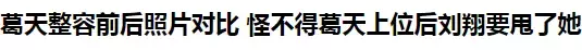 葛天panda微博(如果葛天暗指吴莎是公交车的截图是真的呢？这次高仿号背锅了)