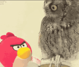 天冷了，你的UGG雪地靴还好吗？分享6步在家让它洗白白美回来