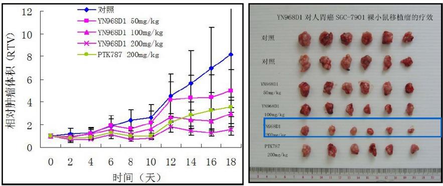 阿帕替尼真的是万金油吗？