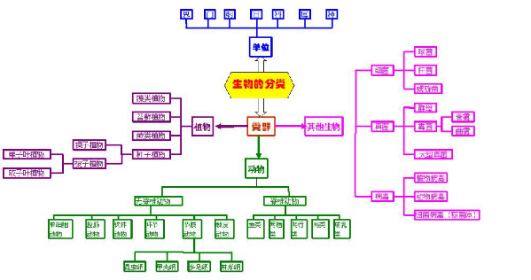 我们该如何认识生物分类系统