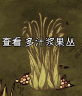 饥荒：联机版常见基础食物 前期最简单的回血食物