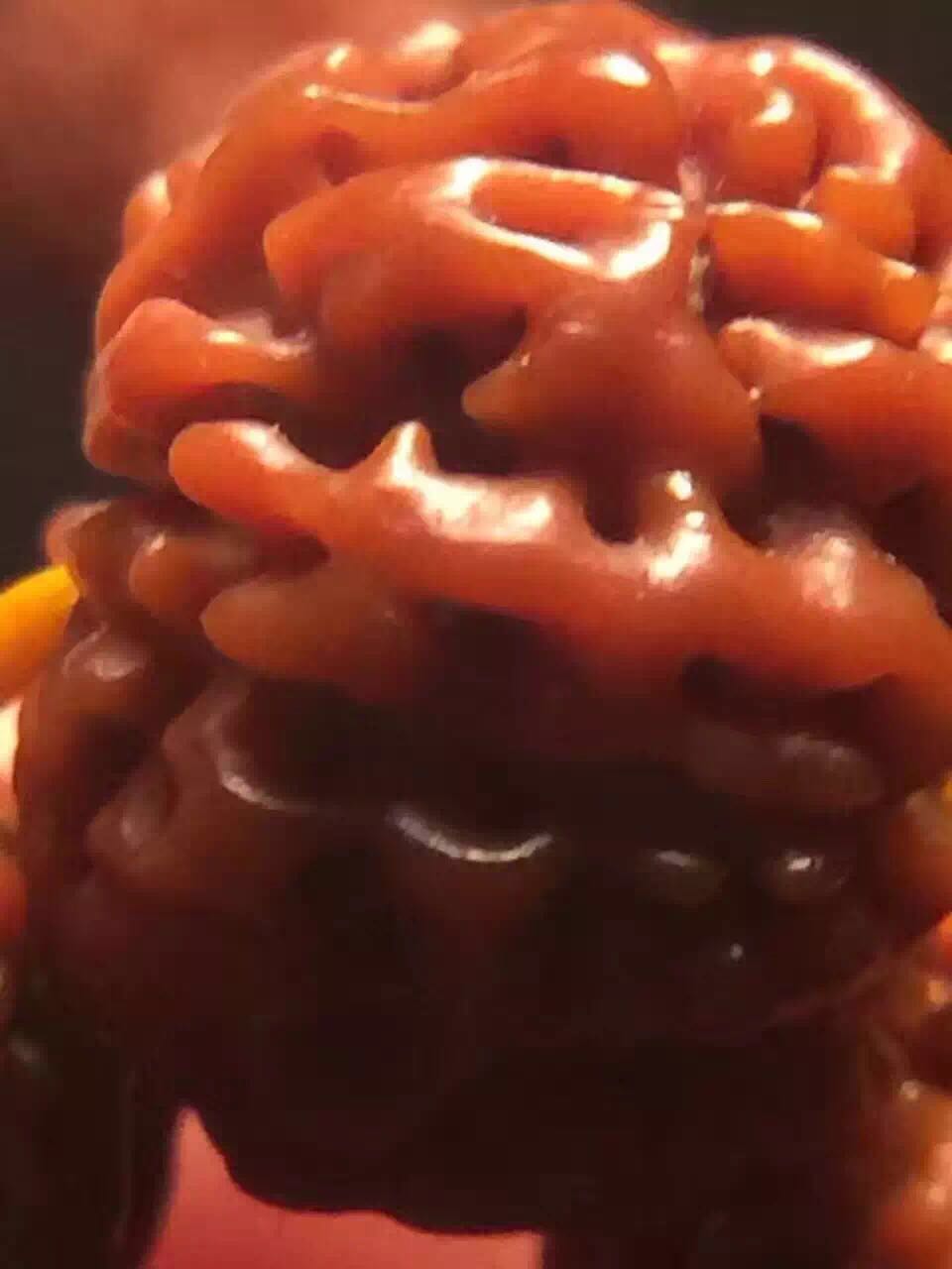 文玩界后宫佳丽三千,为何“金刚菩提”最得恩宠?