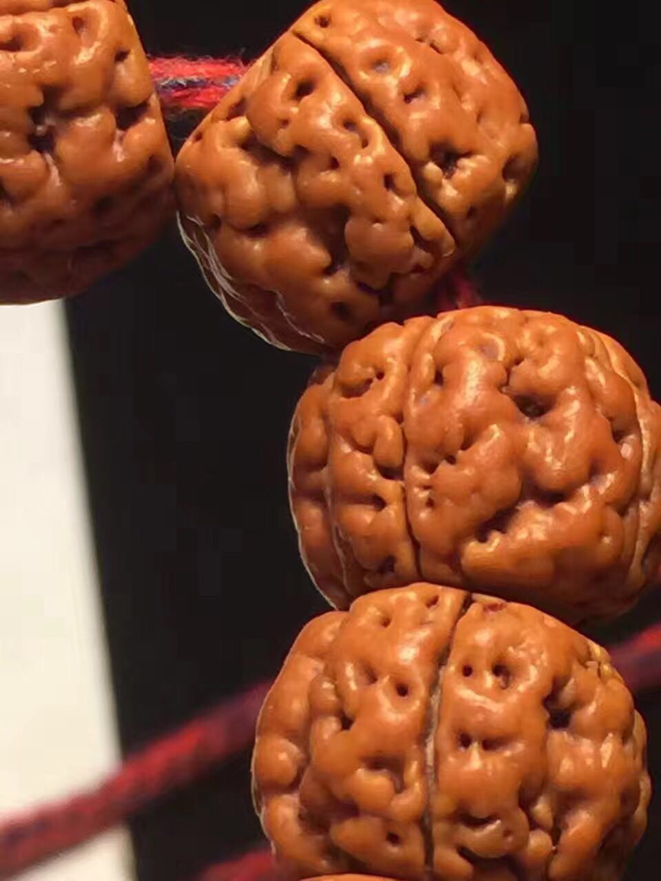 文玩界后宫佳丽三千,为何“金刚菩提”最得恩宠?