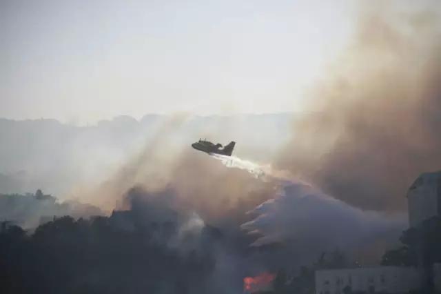 海法大火中被使馆紧急撤离的中国留学生为什么竟然“心安理得”？