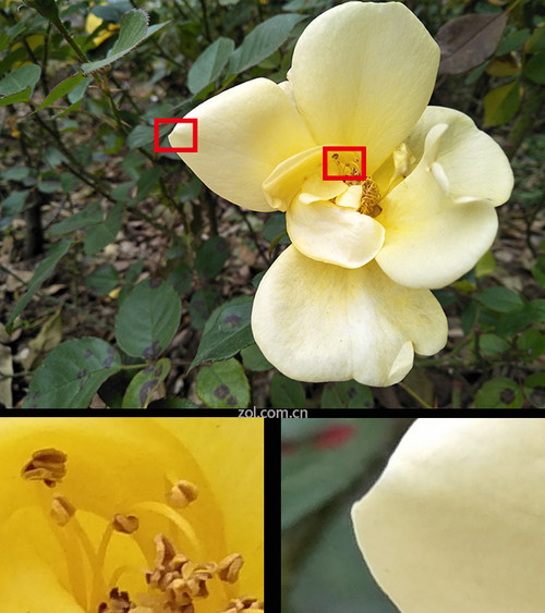 OPPO A57评测 继承旗舰自拍的千元机