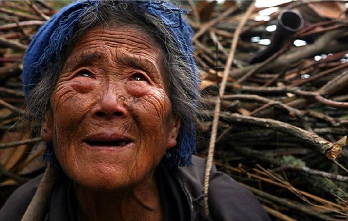 年度感人美文：内疚