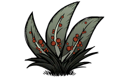 饥荒：联机版种植区规划 移植资源及洞穴种植详解