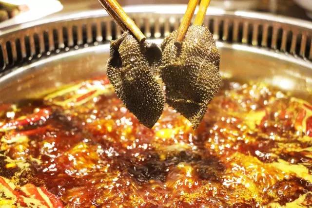 2016火锅年终大盘点！让全成都吃货为之疯狂的37家火锅！你最中意哪家？