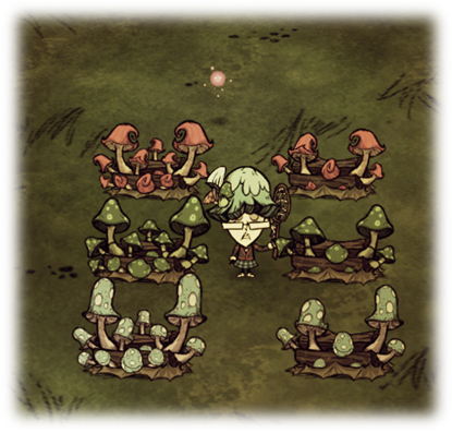 饥荒：联机版种植区规划 移植资源及洞穴种植详解