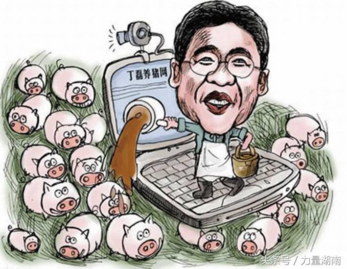 养猪也能上富豪榜！胡润富豪榜上那些养猪大佬