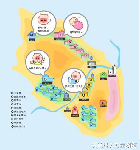 养猪也能上富豪榜！胡润富豪榜上那些养猪大佬