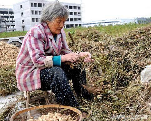 失地农民迎来重大福利，失地农民能够得到这些基本保障！