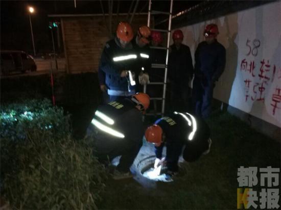西安严查偷盗电缆事件 市民发现可直接向公安举报