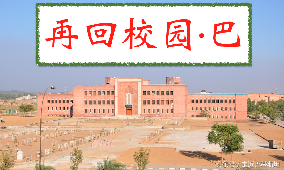 旁遮普大学（教育）
