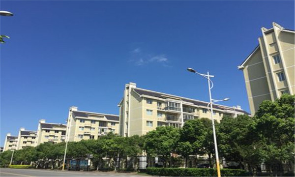 崇明｜东海明珠岛上的好小学！