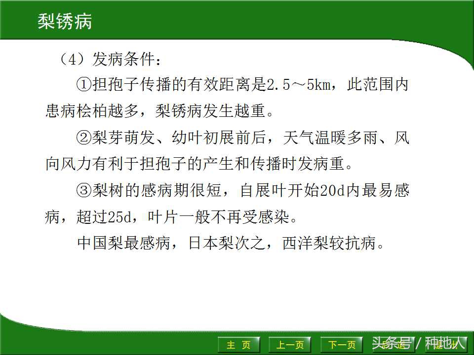 梨树病虫害防治,梨树病虫害防治时间表