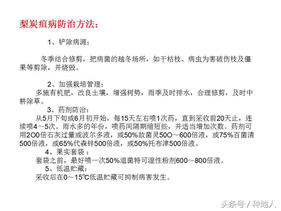 梨樹病蟲害防治,梨樹病蟲害防治時間表