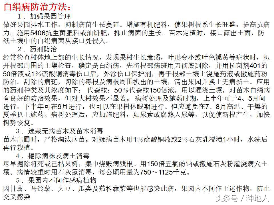 梨树病虫害防治,梨树病虫害防治时间表