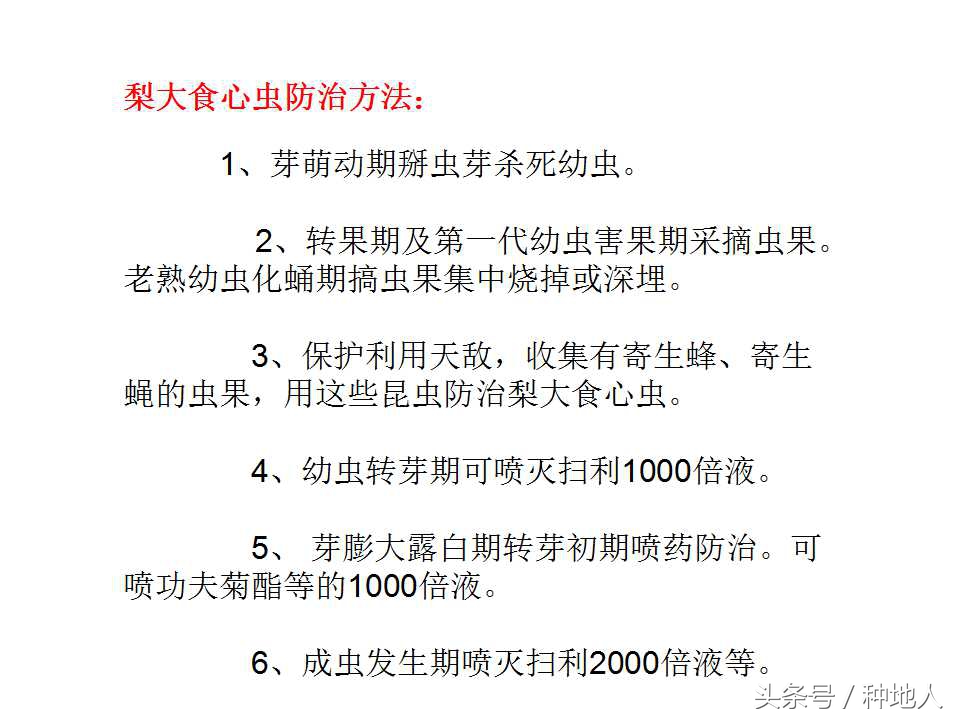 梨樹病蟲害防治,梨樹病蟲害防治時間表