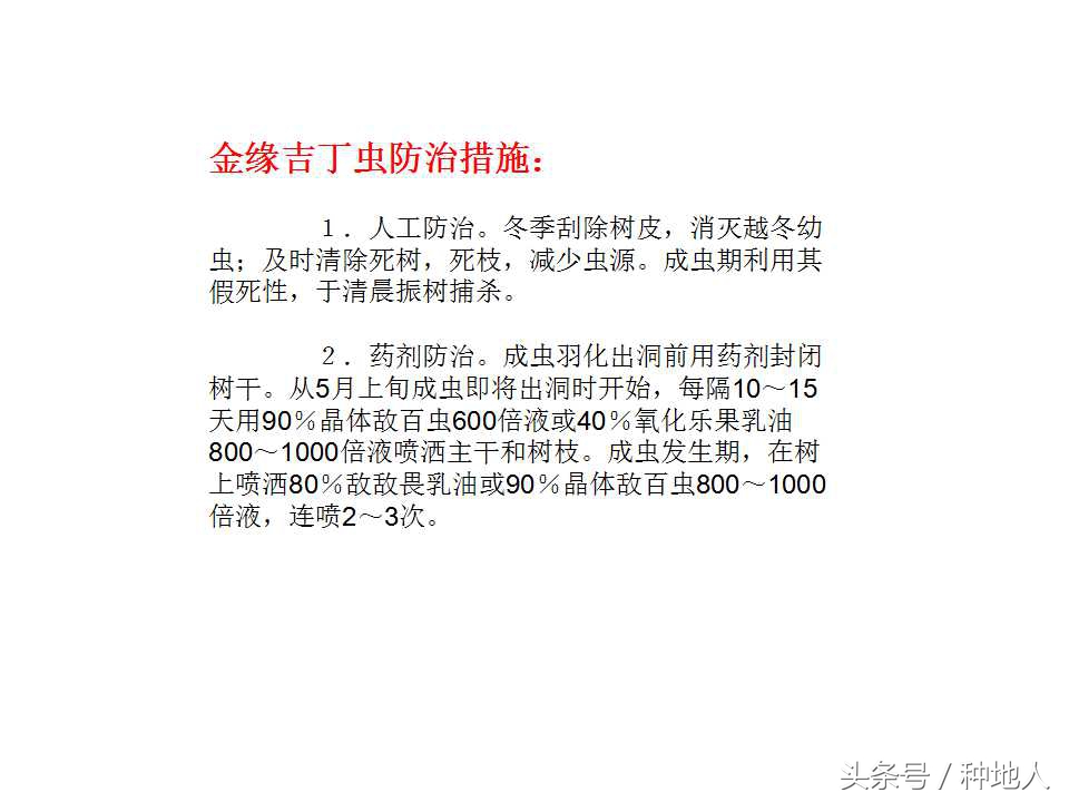 梨樹病蟲害防治,梨樹病蟲害防治時間表